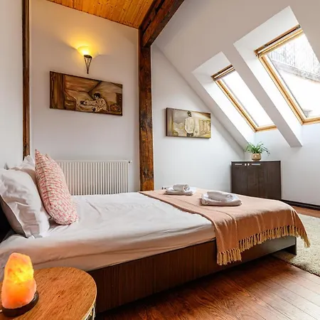 בראשוב Dream Guesthouse מראה חיצוני תמונה