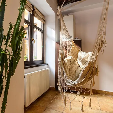 בראשוב Dream Guesthouse מראה חיצוני תמונה
