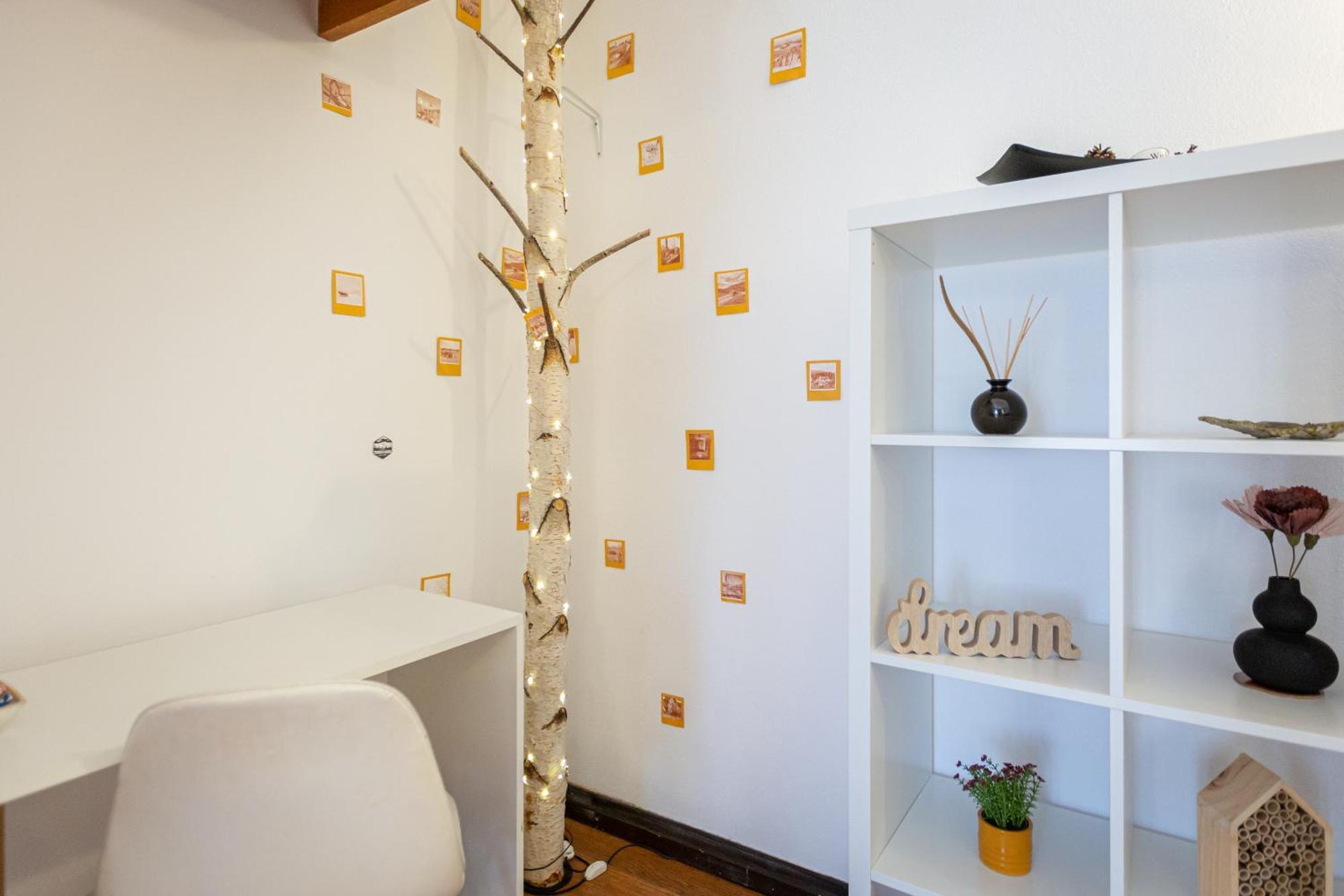 Dream