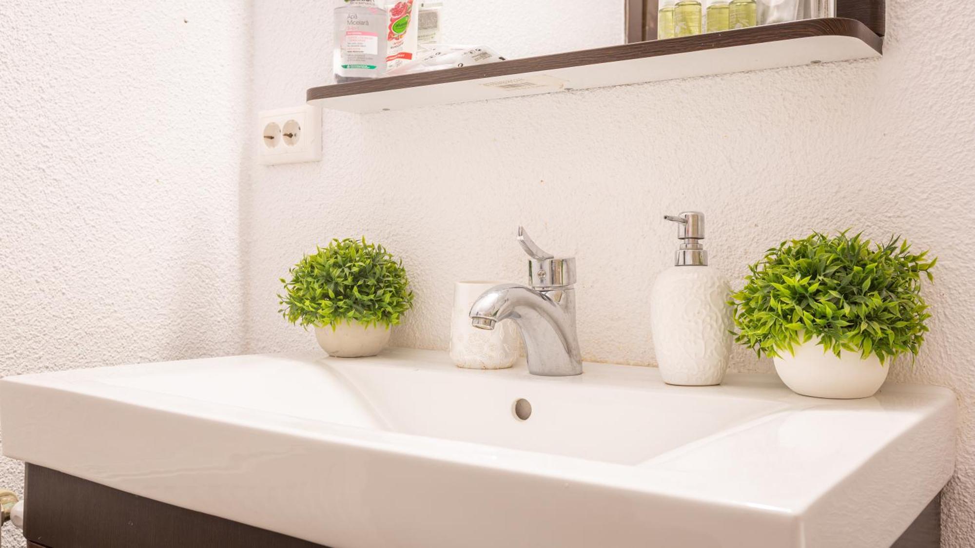 Apartment Dream Brasov