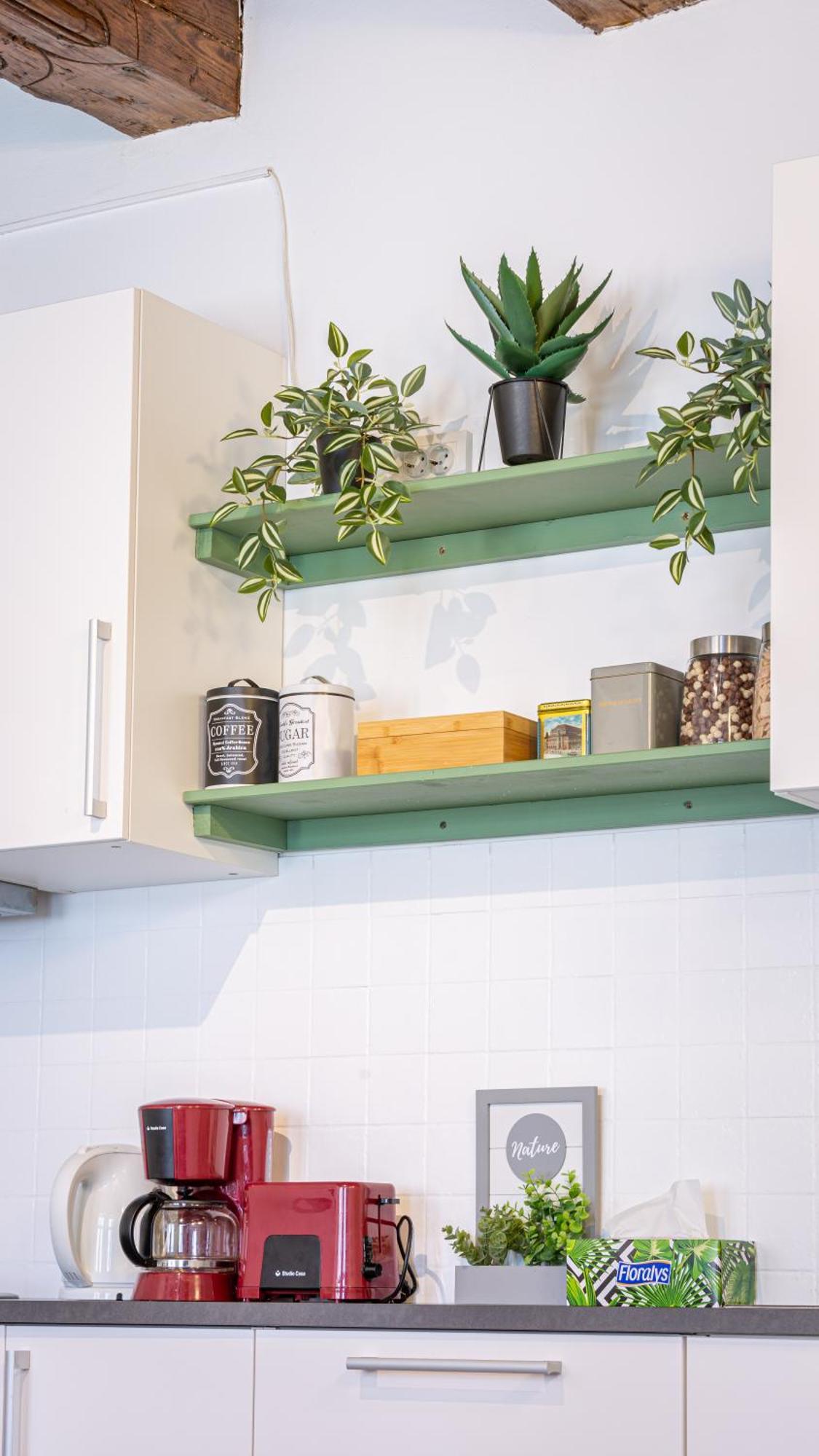 Dream Apartment