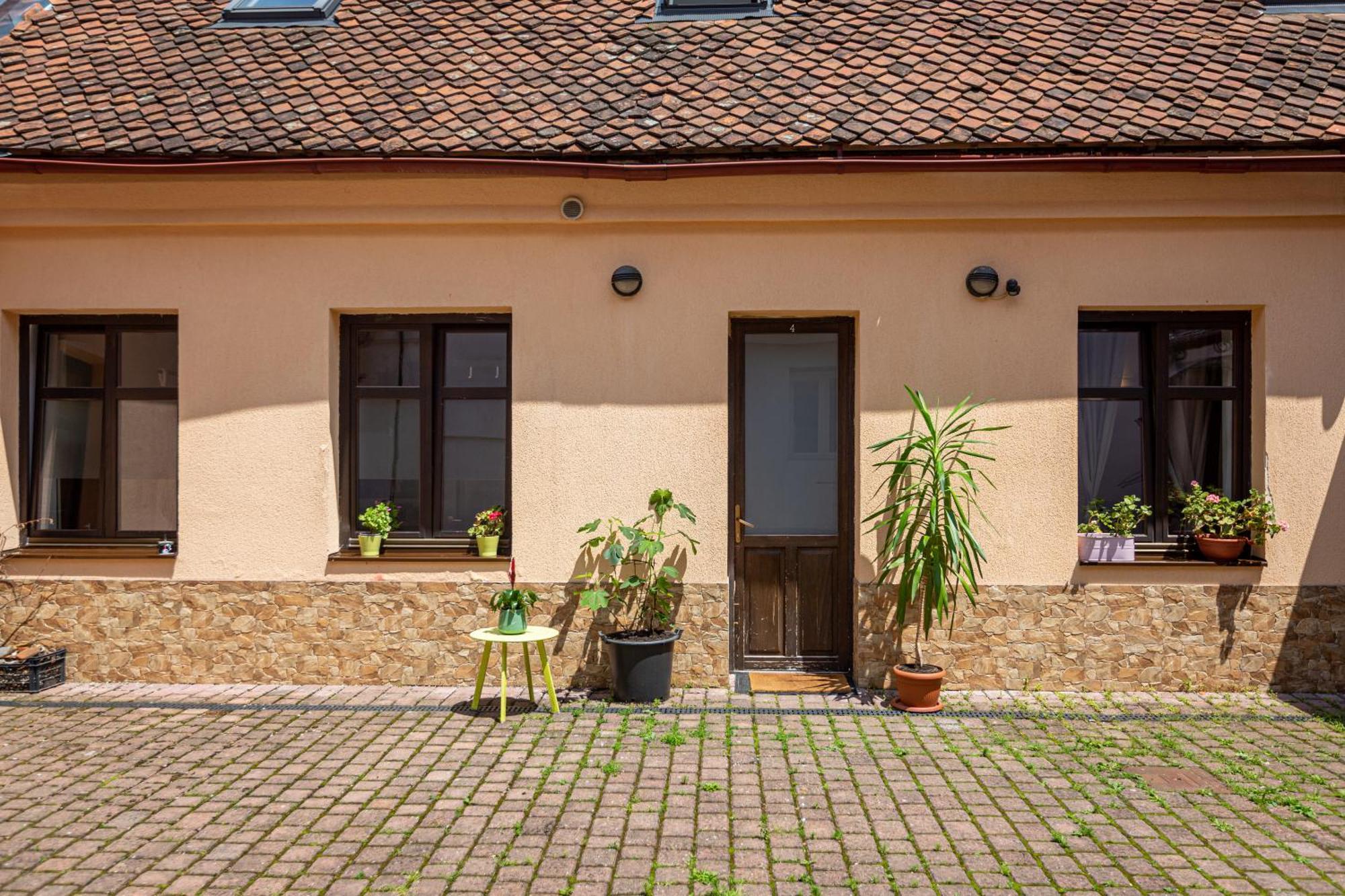 Dream Brasov